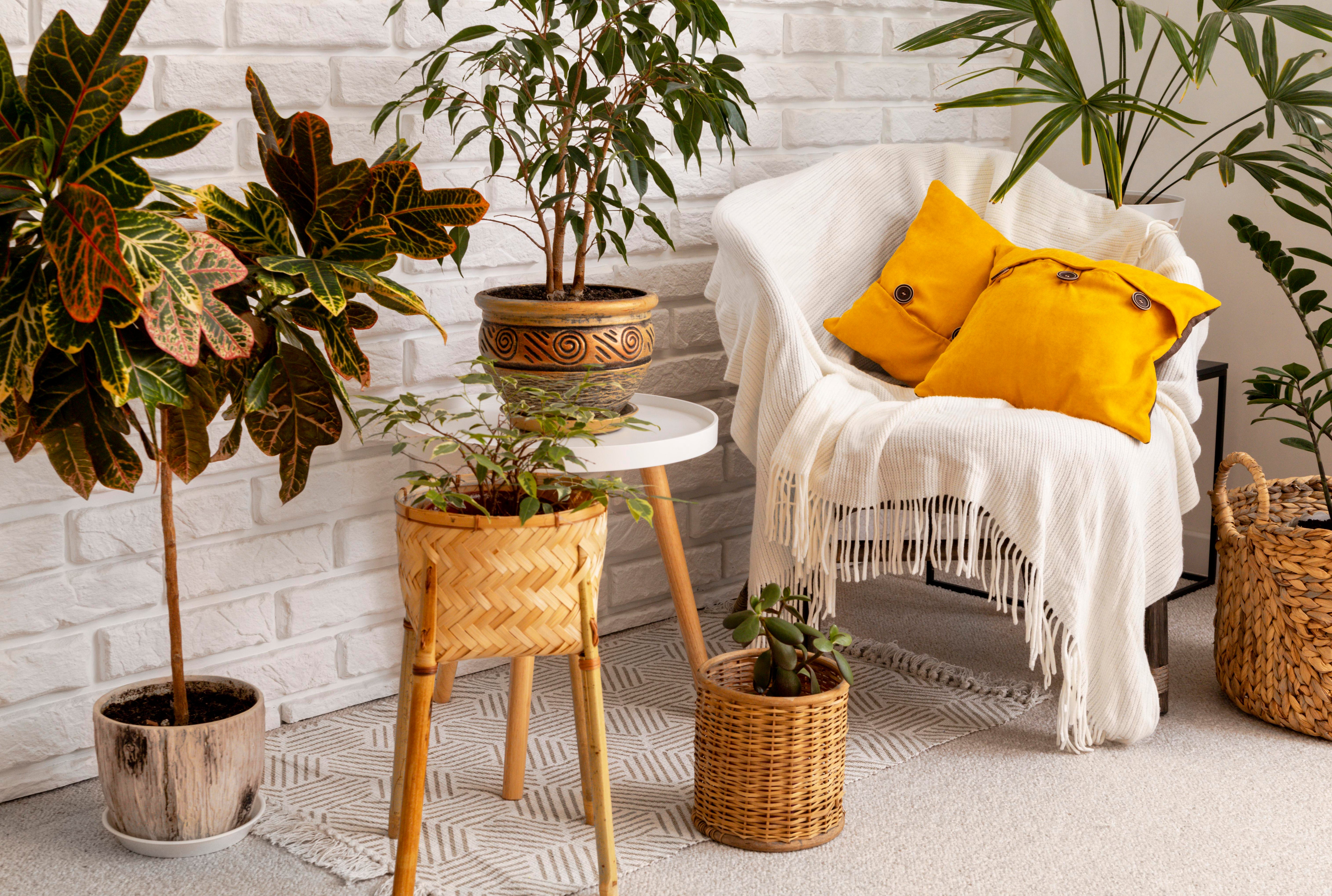 Home Décor
